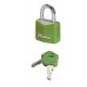 Lot de 2 cadenas Master Lock 9121EURTCOLGRN