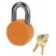 Cadenas Master Lock AH100PB