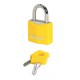 Lot de 2 cadenas Master Lock 9131EURTCOLYLW