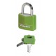 Lot de 2 cadenas Master Lock 9131EURTCOLGRN