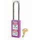 Cadenas de consignation Master Lock 411LTPRP