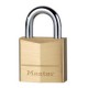 Lot de 2 cadenas Master Lock 120EURT