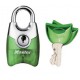 Lot de 2 cadenas Master Lock 4630EURTASTGRN