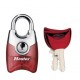 Lot de 2 cadenas Master Lock 4630EURTASTRED