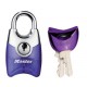 Lot de 2 cadenas Master Lock 4630EURTASTPRP