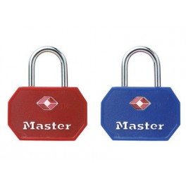 Lot de 2 cadenas Master Lock 4681EURTBLR